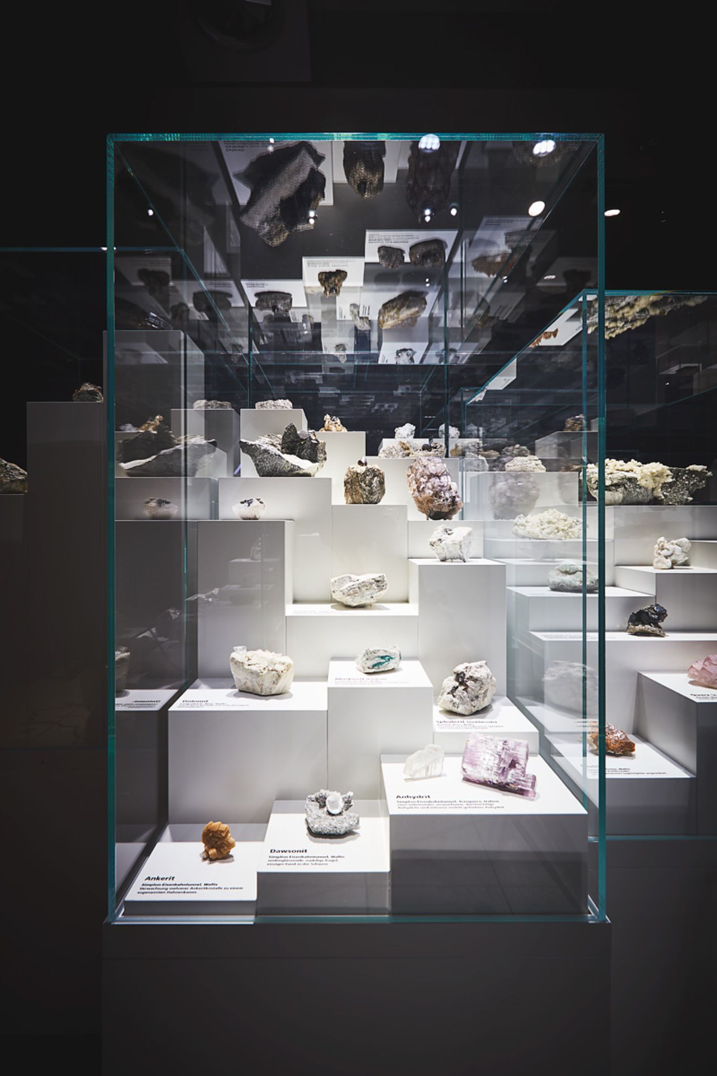 Une vitrine montre divers minéraux colorés disposés sur des blocs blancs.
