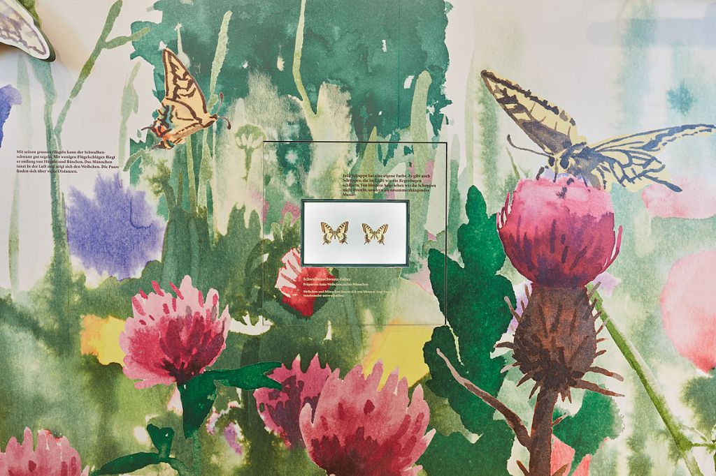 Zwei Schmetterlinge fliegen über bunte Blumen in einer malerischen Landschaft.