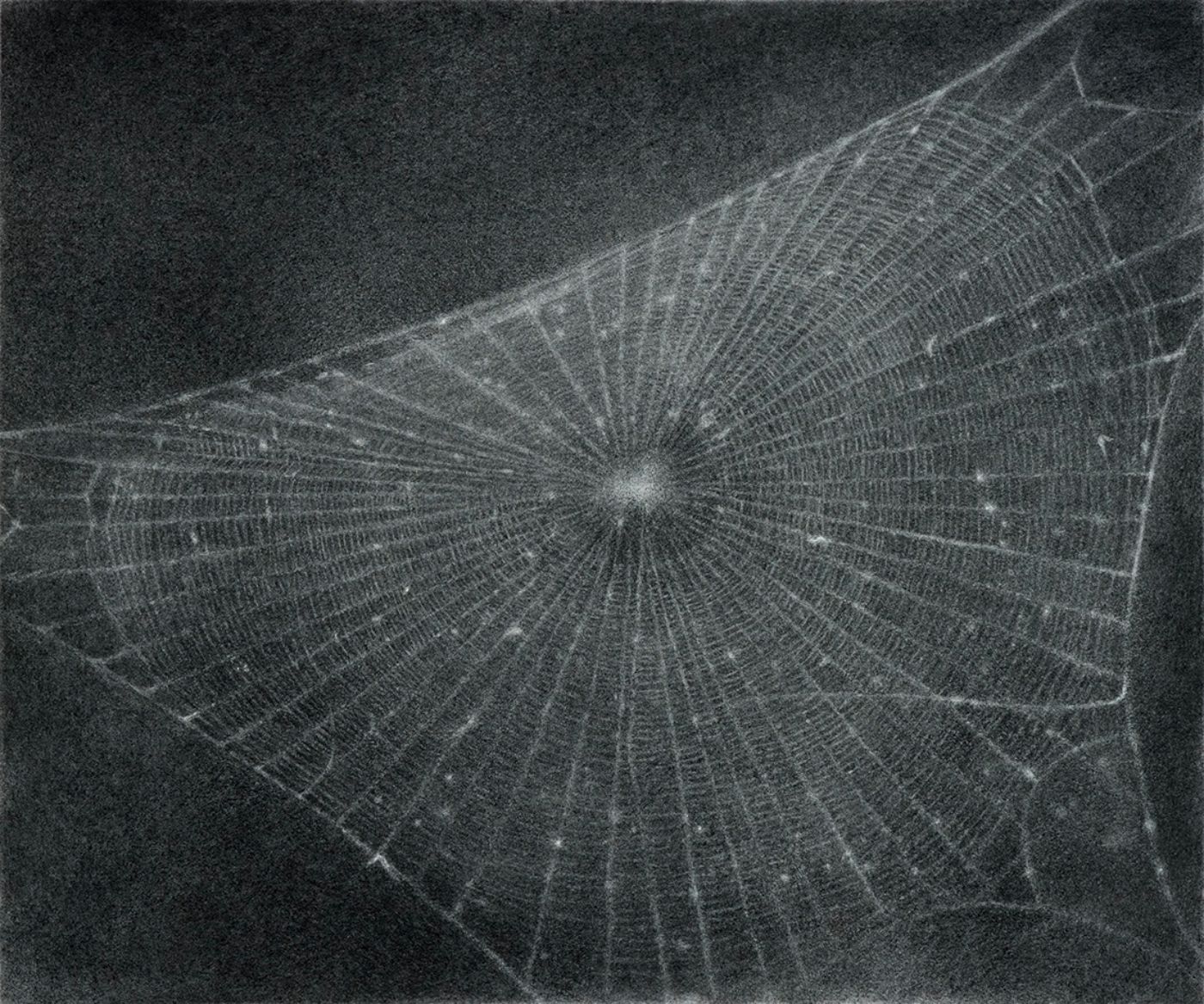 Ein fein detailliertes Spinnennetz erstreckt sich symmetrisch über einen dunklen Hintergrund