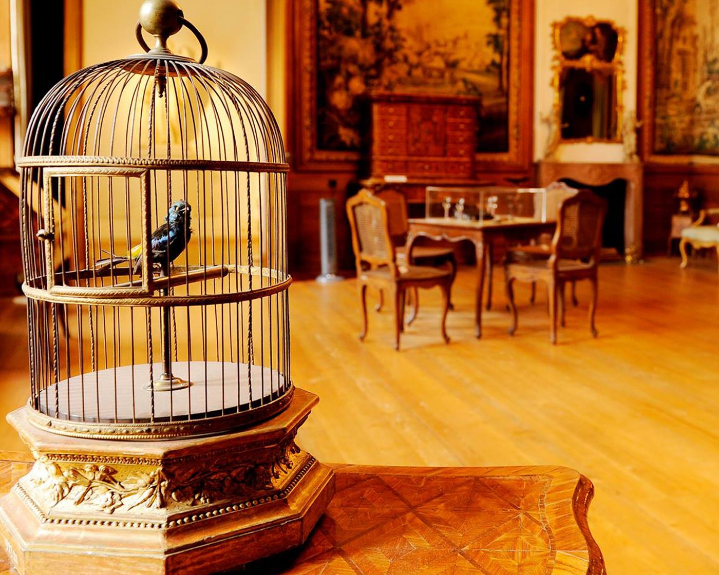 Ein Vogelkäfig mit einem blauen Vogel steht in einem prächtigen, historischen Raum mit Holzmöbeln
