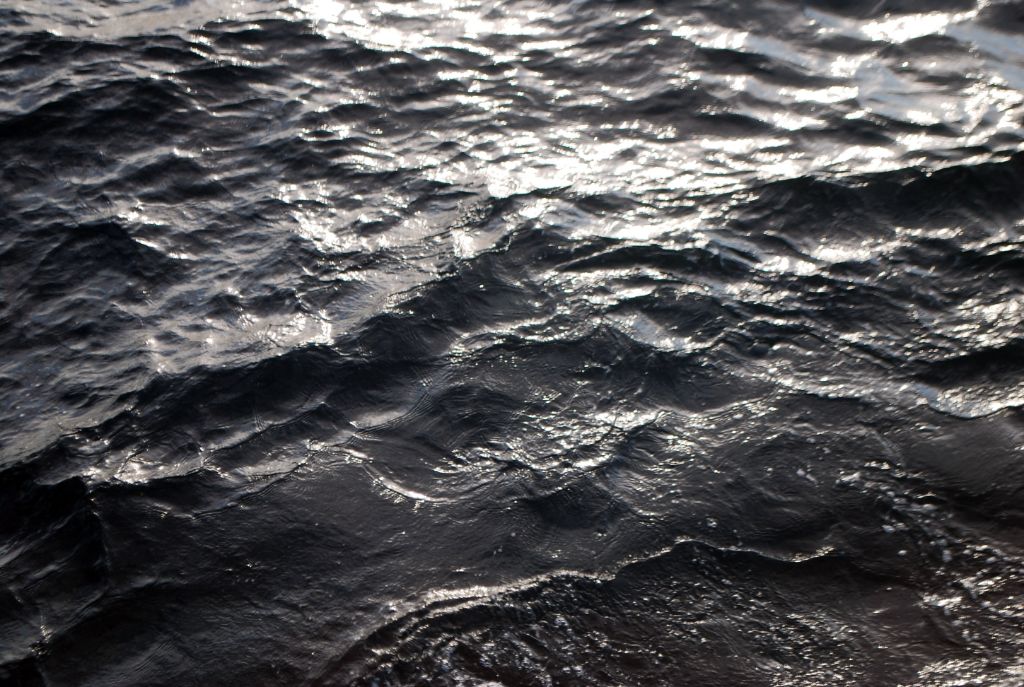 Wellen kräuseln sich über die Oberfläche des Wassers und reflektieren das Sonnenlicht.
