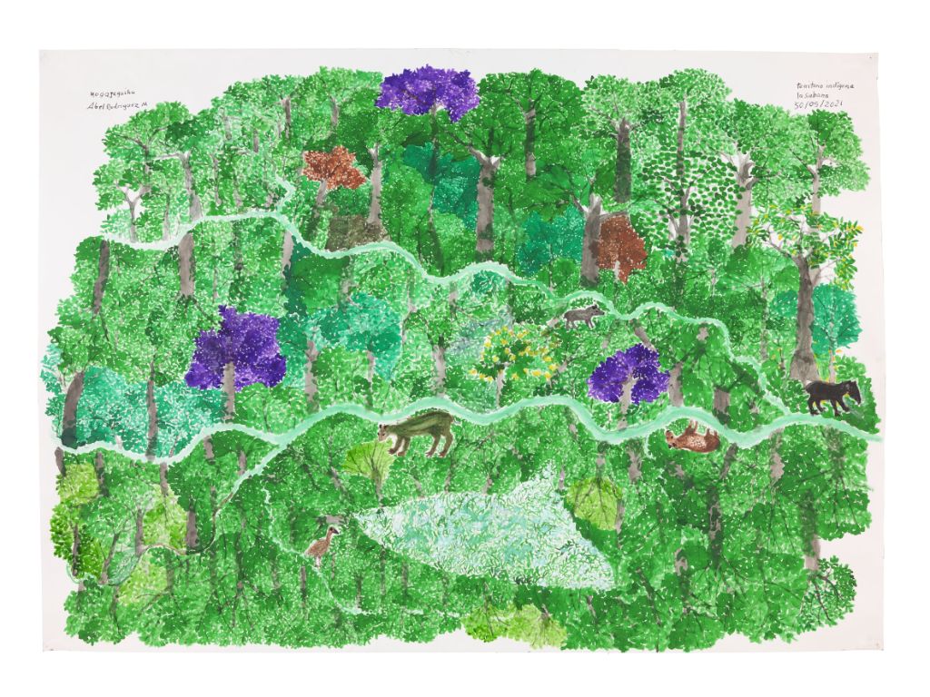 Drawing of a green forest with many trees, light green paths, purple flowers in the trees and a few hidden animals.