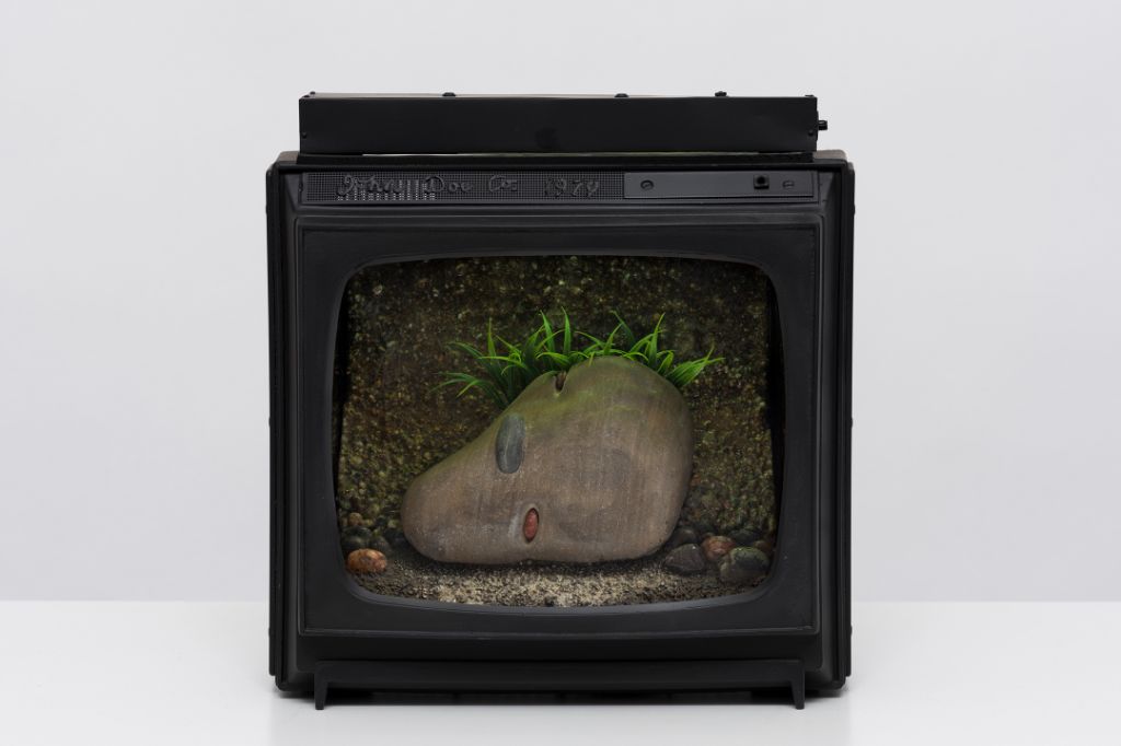 An old TV frame displays a rocky ground with a large stone and green plants